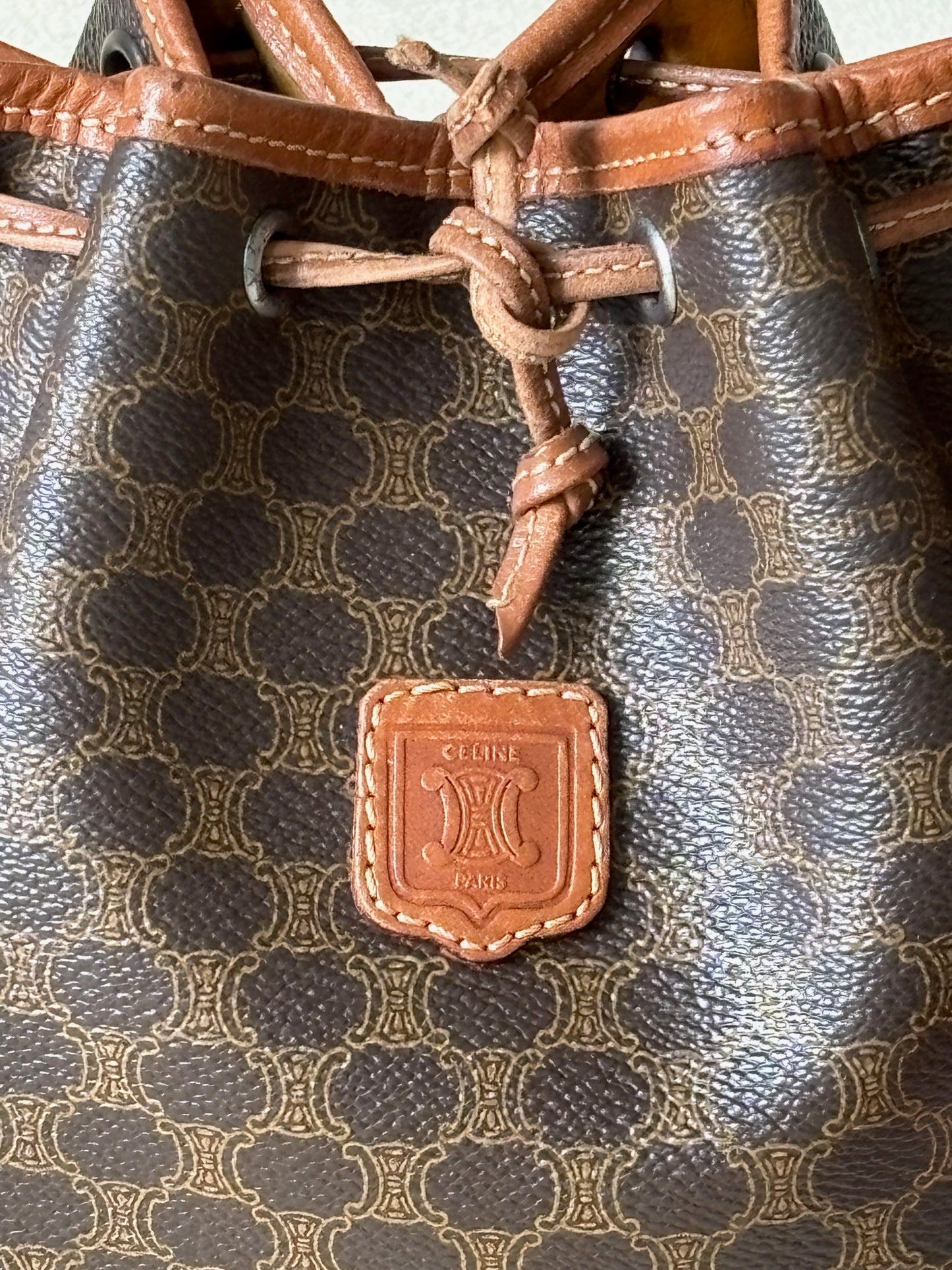 CÉLINE Sac Seau Triomphe PM