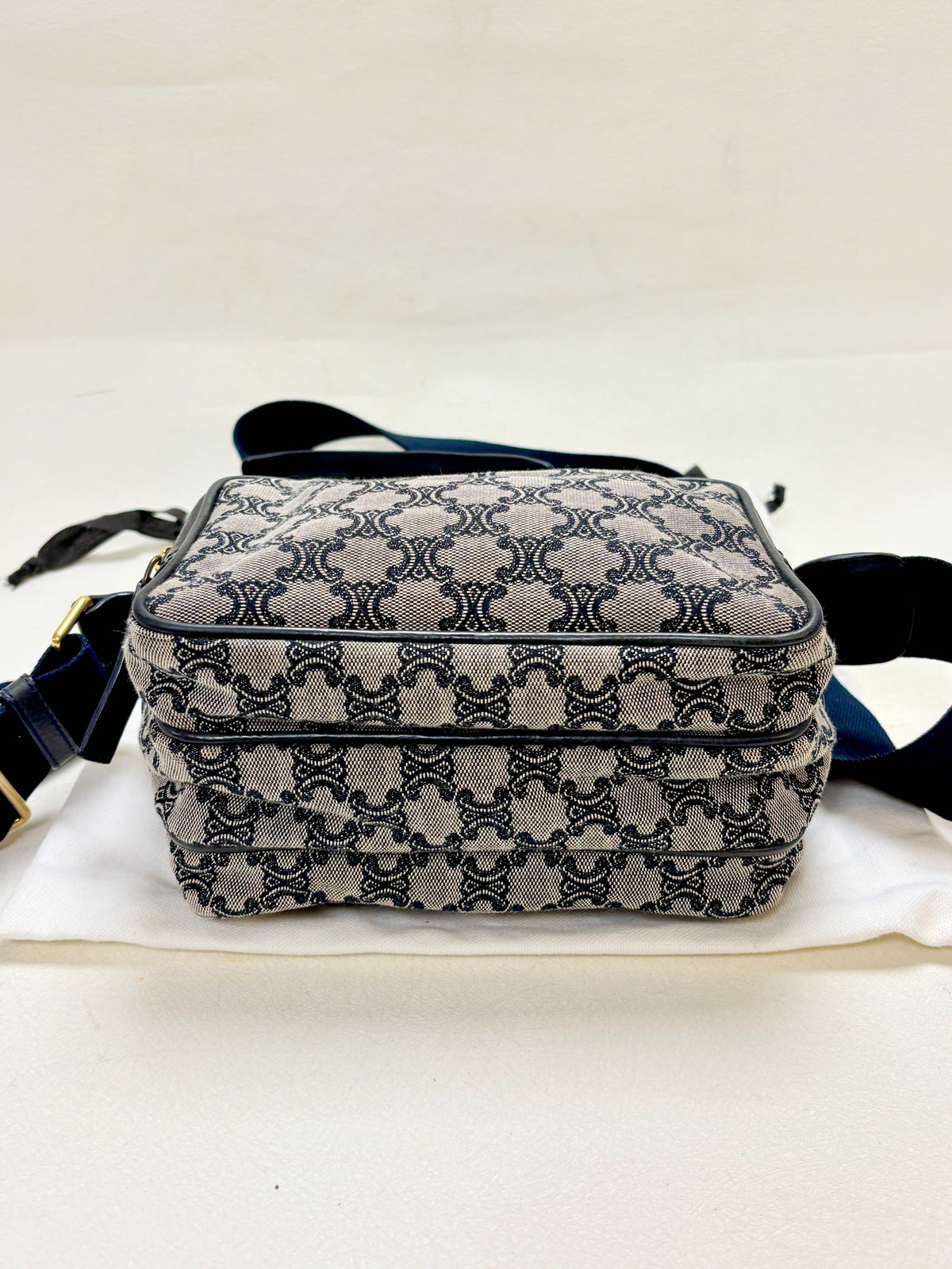 CÉLINE Sac Camera Triomphe