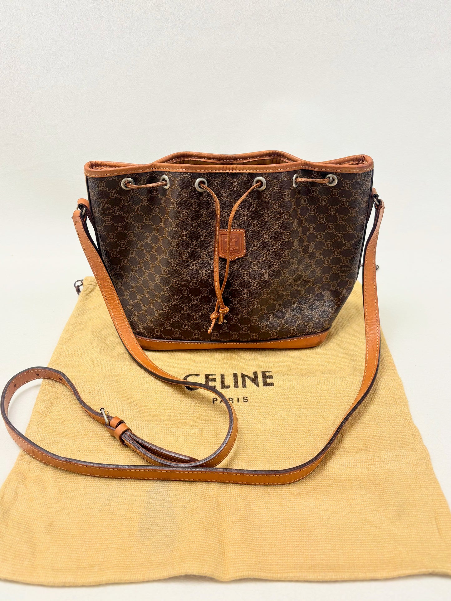 CÉLINE Sac Seau Triomphe PM