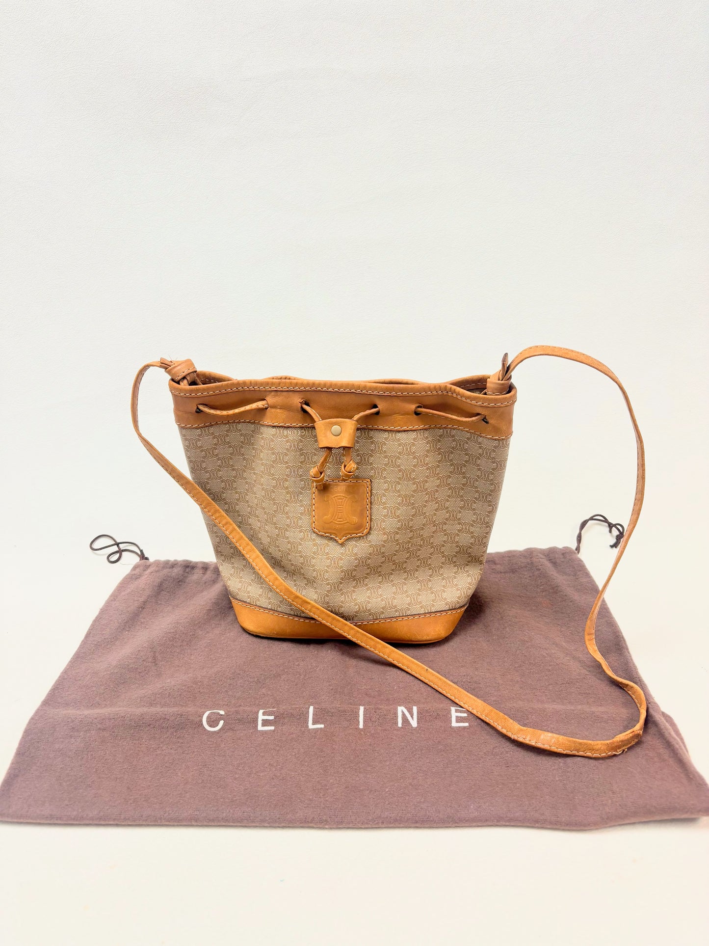 CÉLINE Sac Seau Triomphe PM