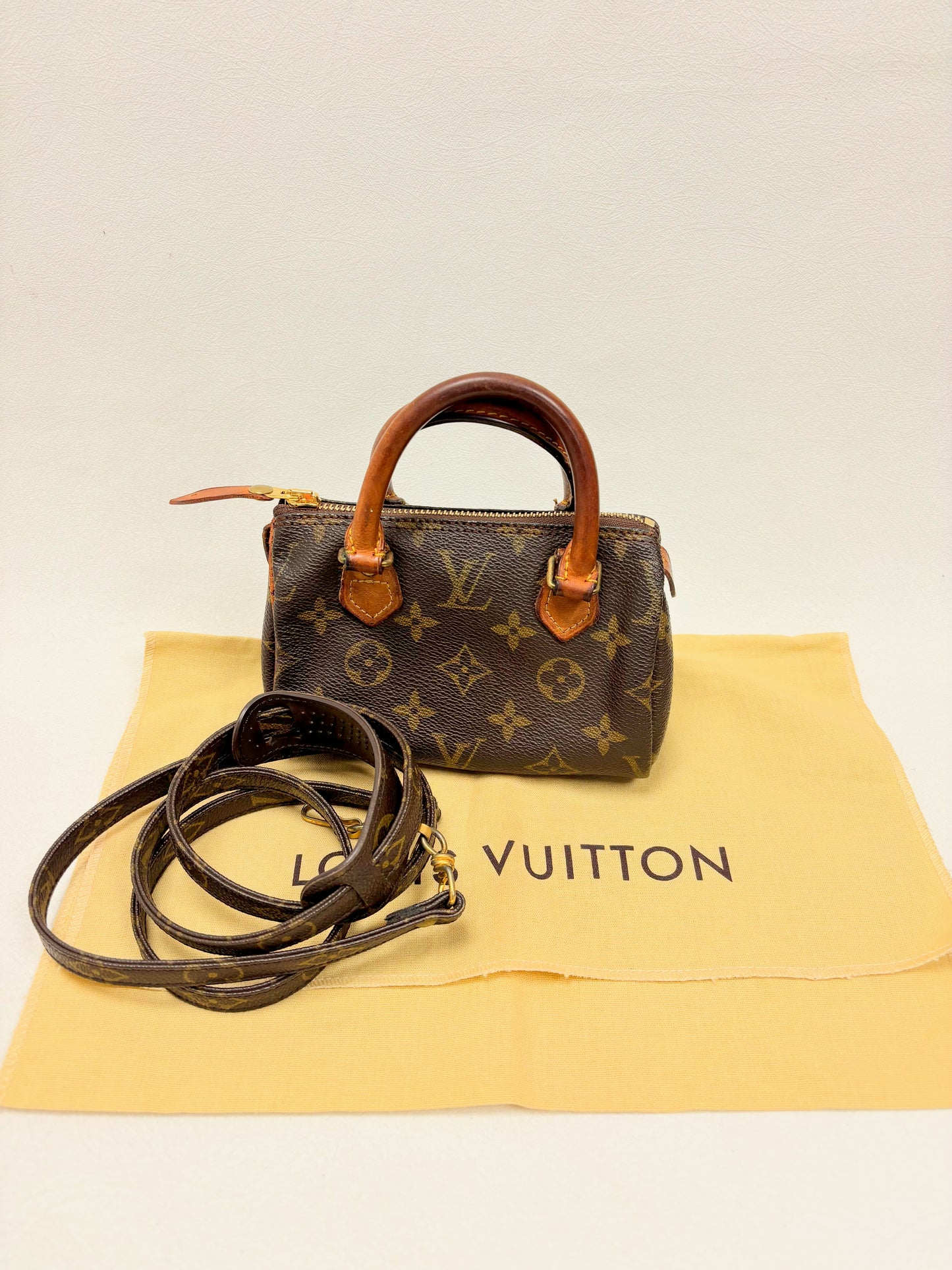 LOUIS VUITTON Speedy Nano