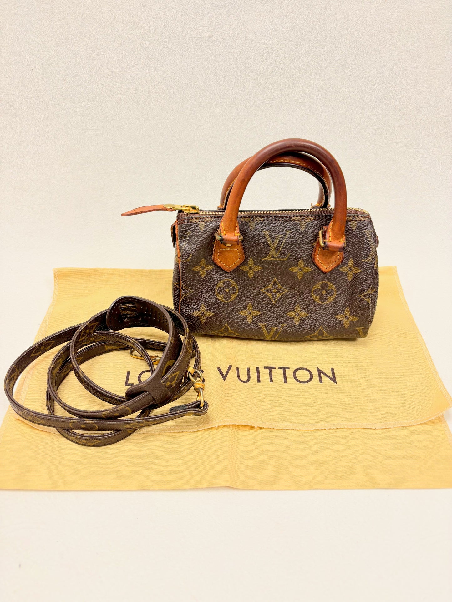 LOUIS VUITTON Speedy Nano