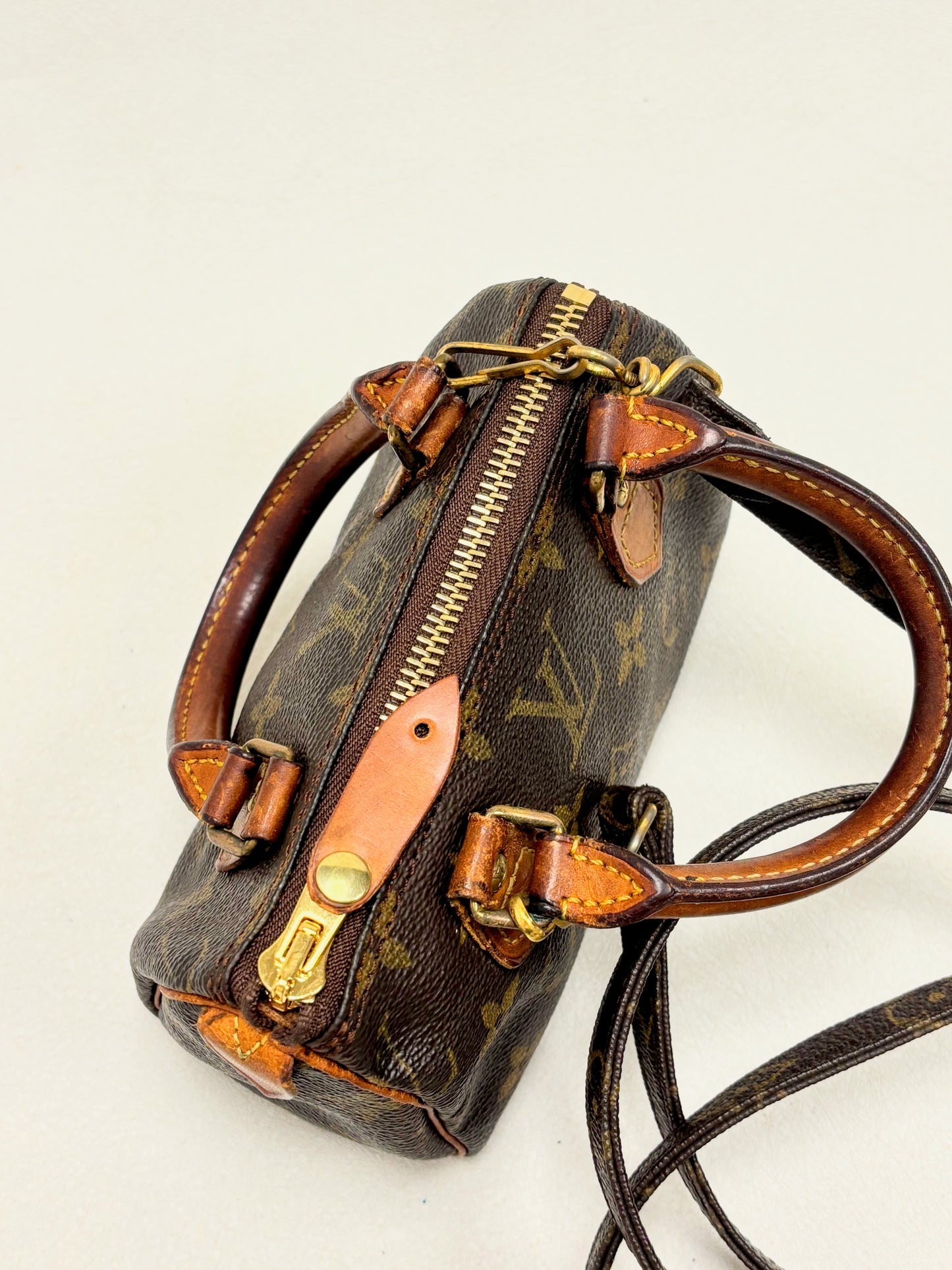 LOUIS VUITTON Speedy Nano