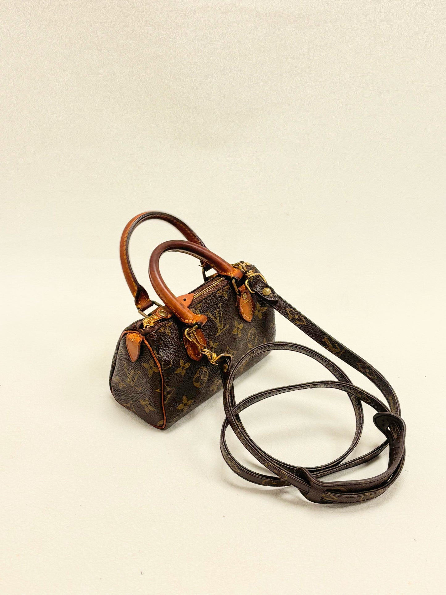 LOUIS VUITTON Speedy Nano