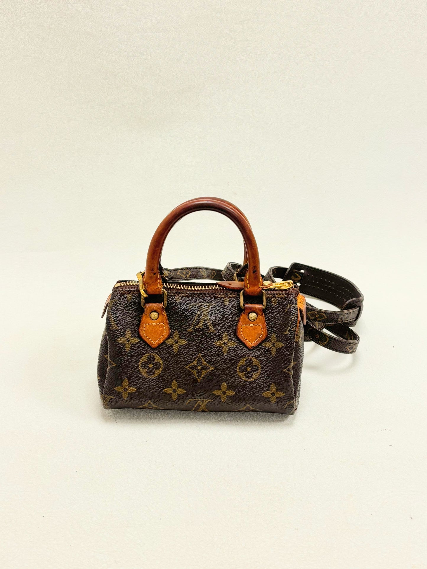 LOUIS VUITTON Speedy Nano
