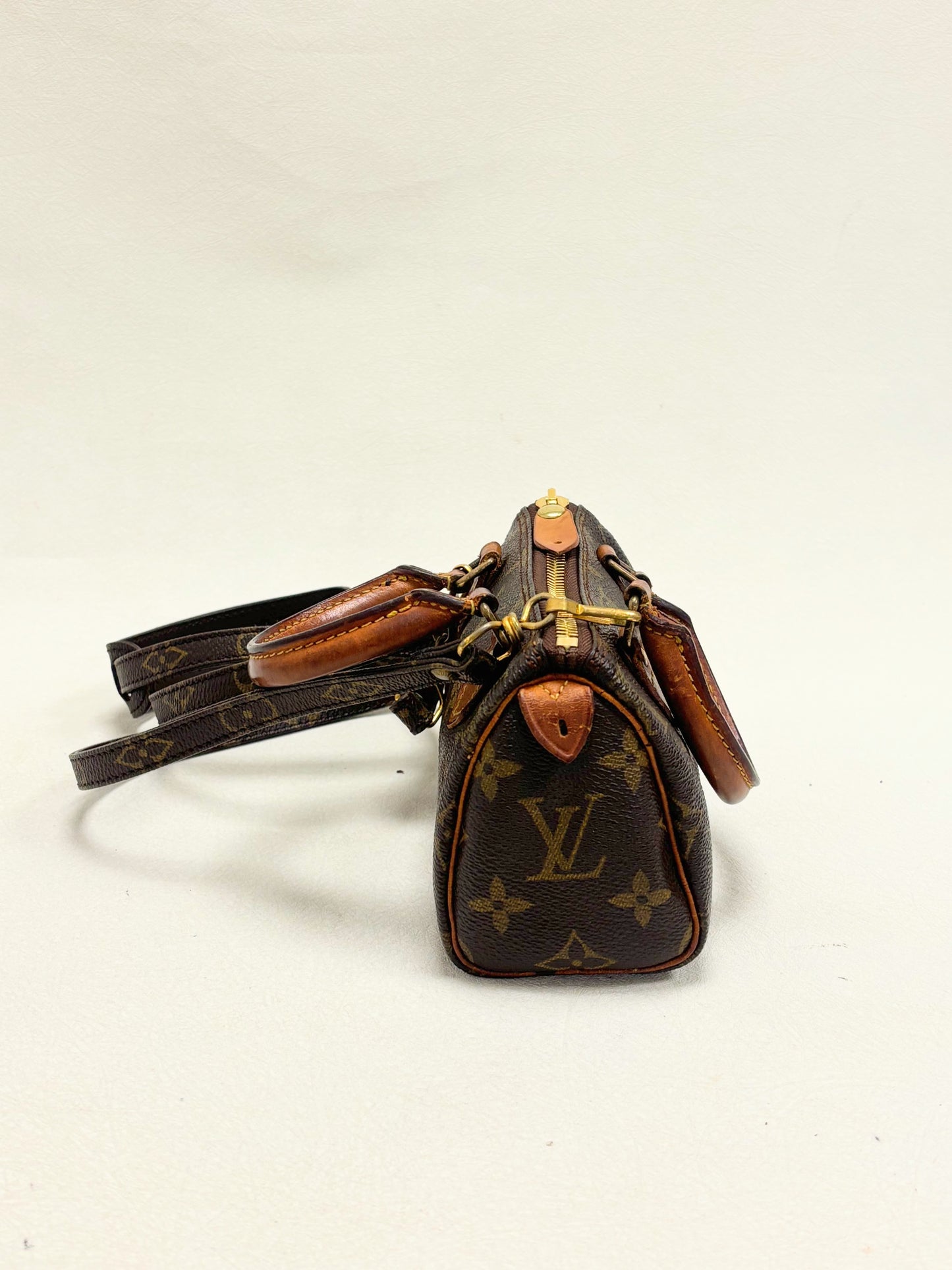 LOUIS VUITTON Speedy Nano