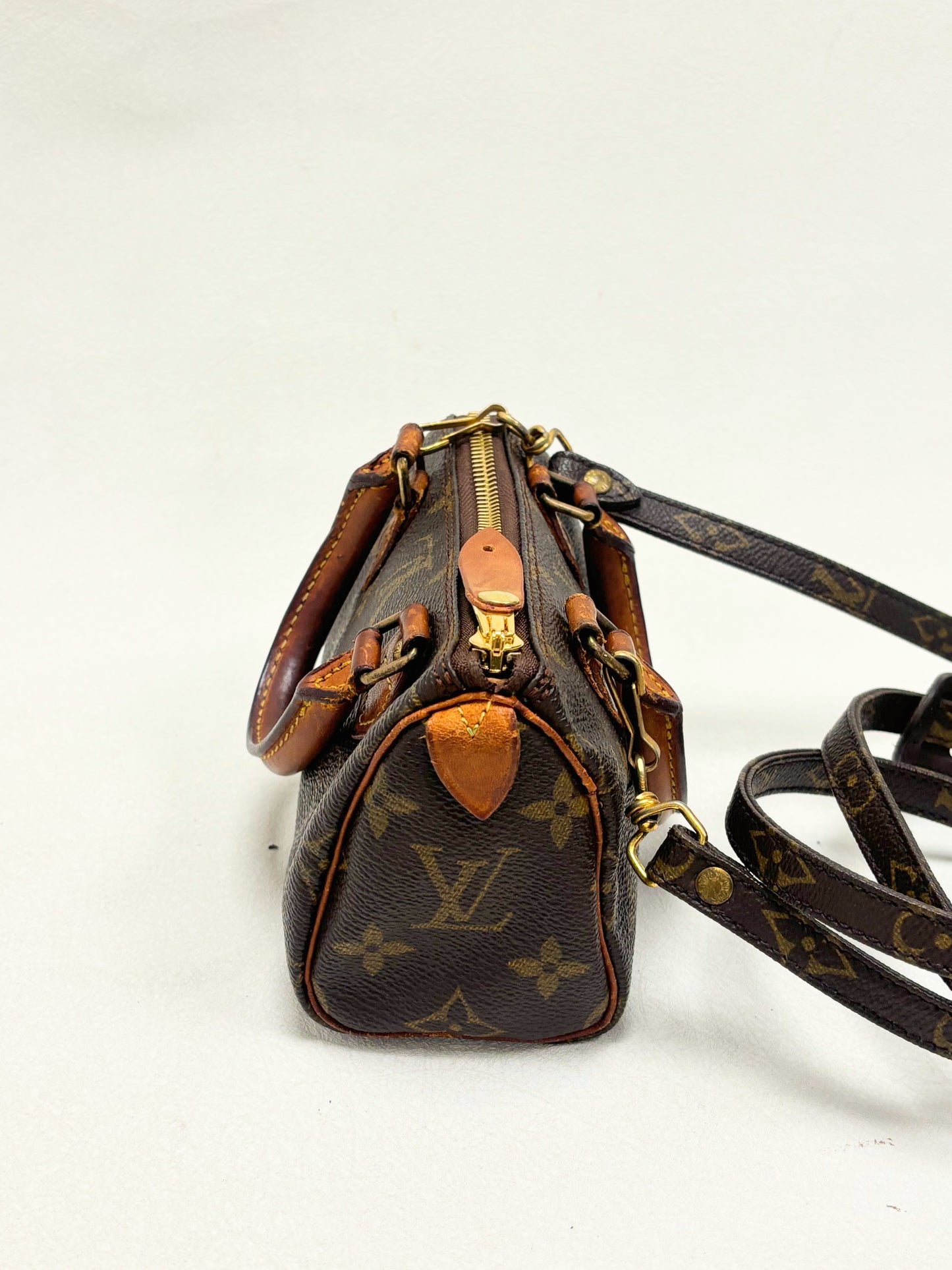 LOUIS VUITTON Speedy Nano