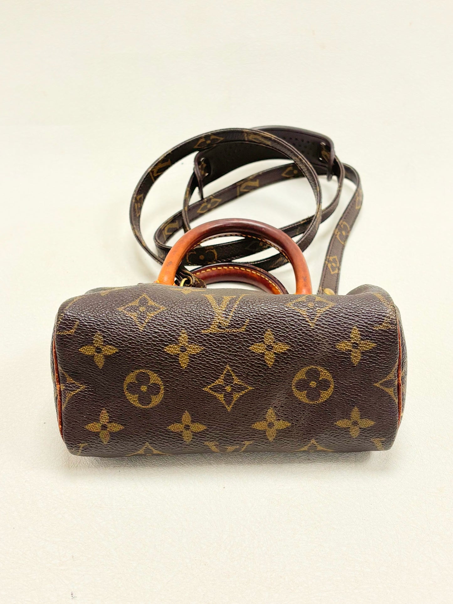 LOUIS VUITTON Speedy Nano