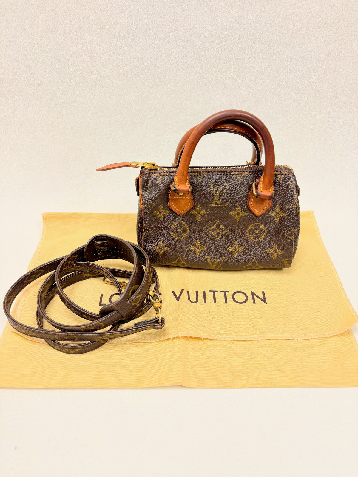 LOUIS VUITTON Speedy Nano