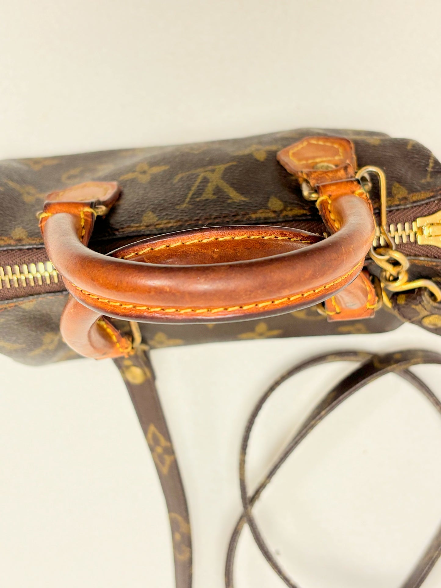 LOUIS VUITTON Speedy Nano