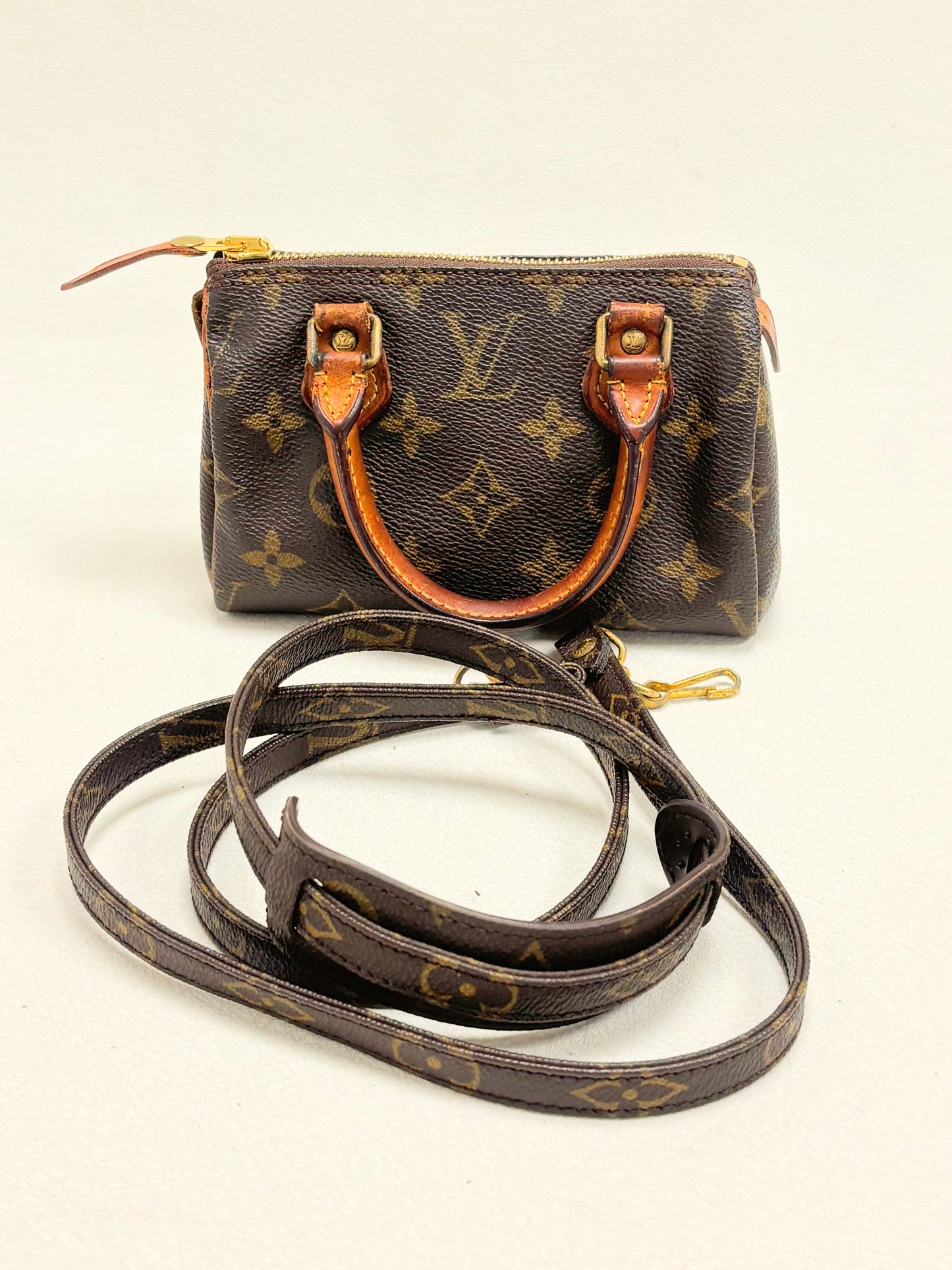 LOUIS VUITTON Speedy Nano