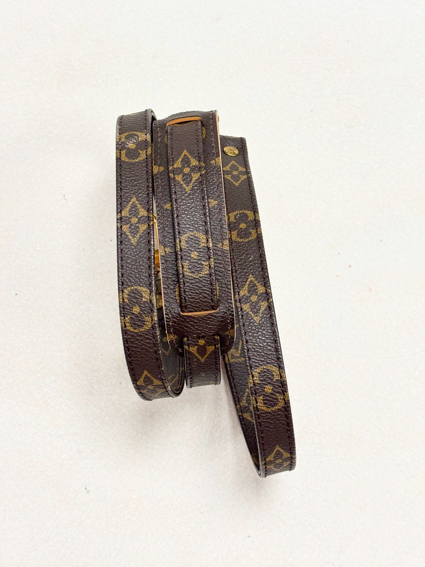 LOUIS VUITTON Bandoulière Monogramme