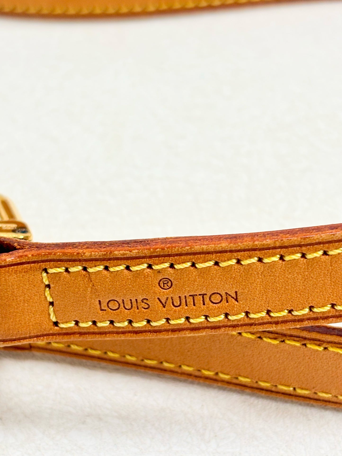 LOUIS VUITTON Bandoulière cuir