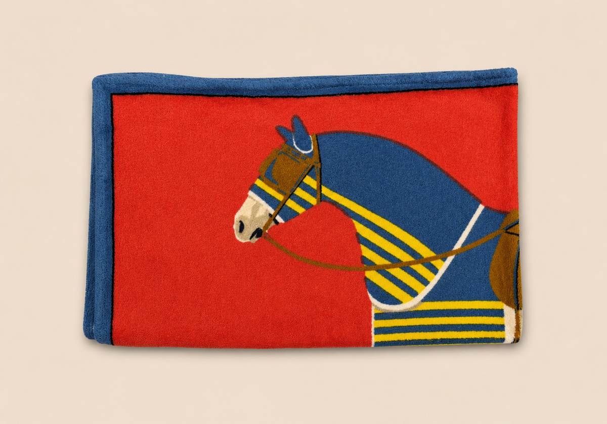 HERMÈS Drap de Plage