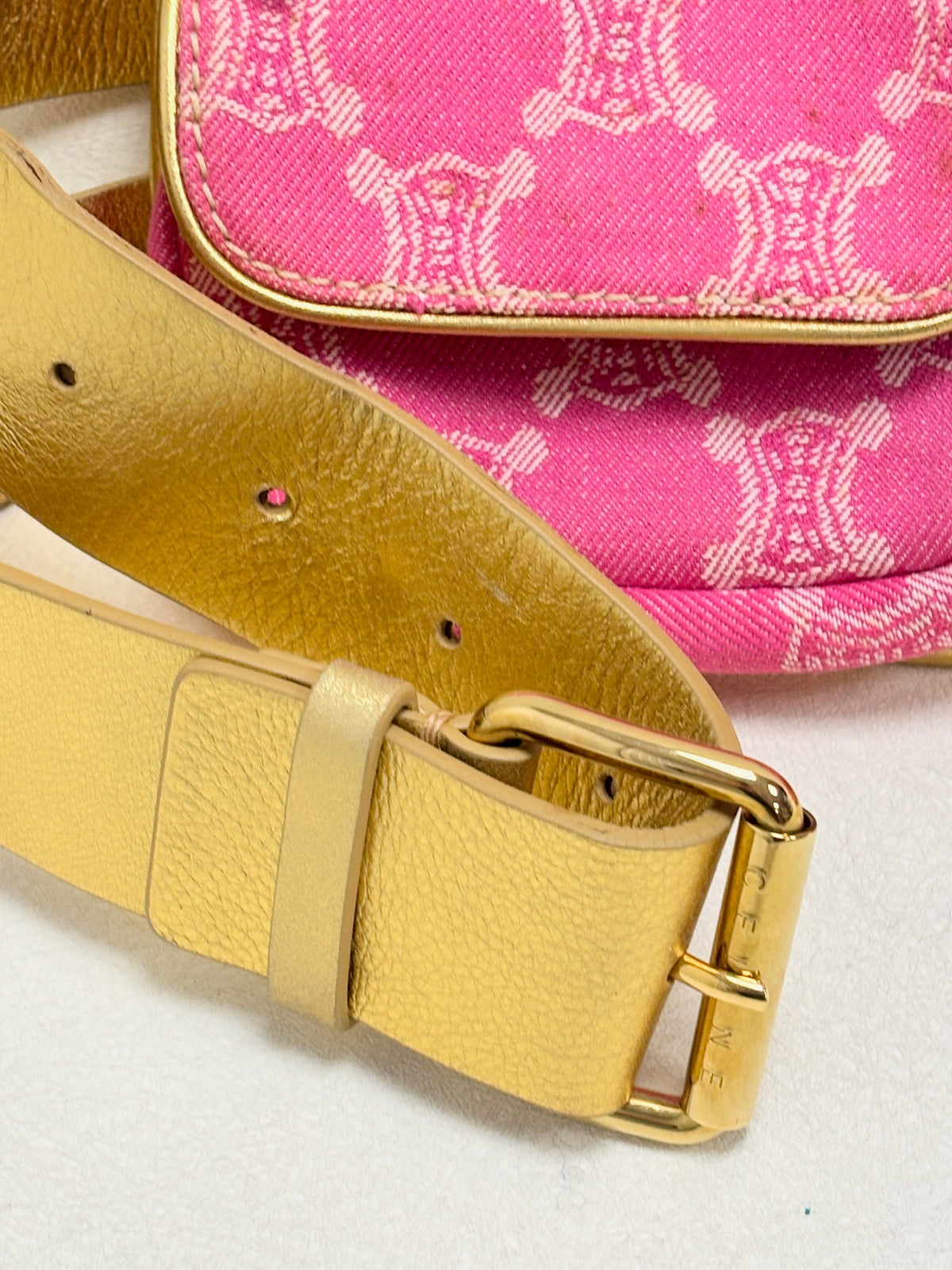 CÉLINE Sac Banane Triomphe