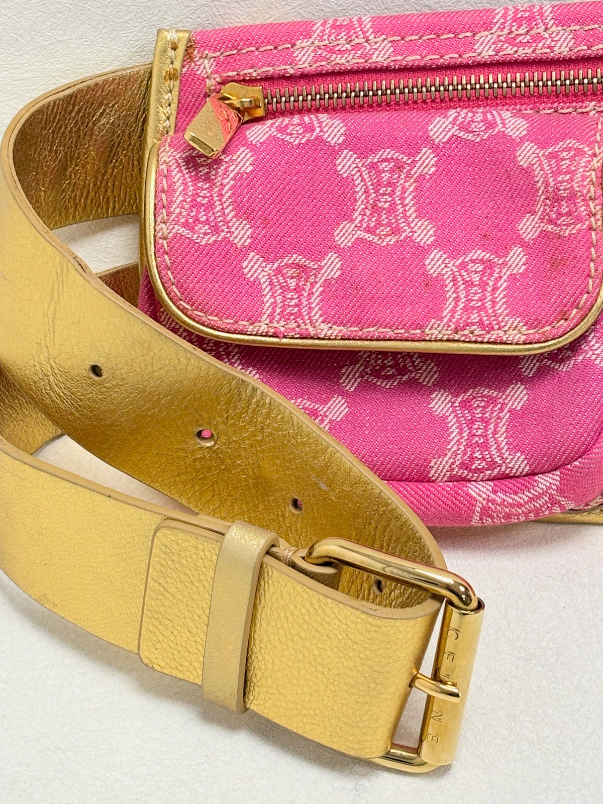 CÉLINE Sac Banane Triomphe