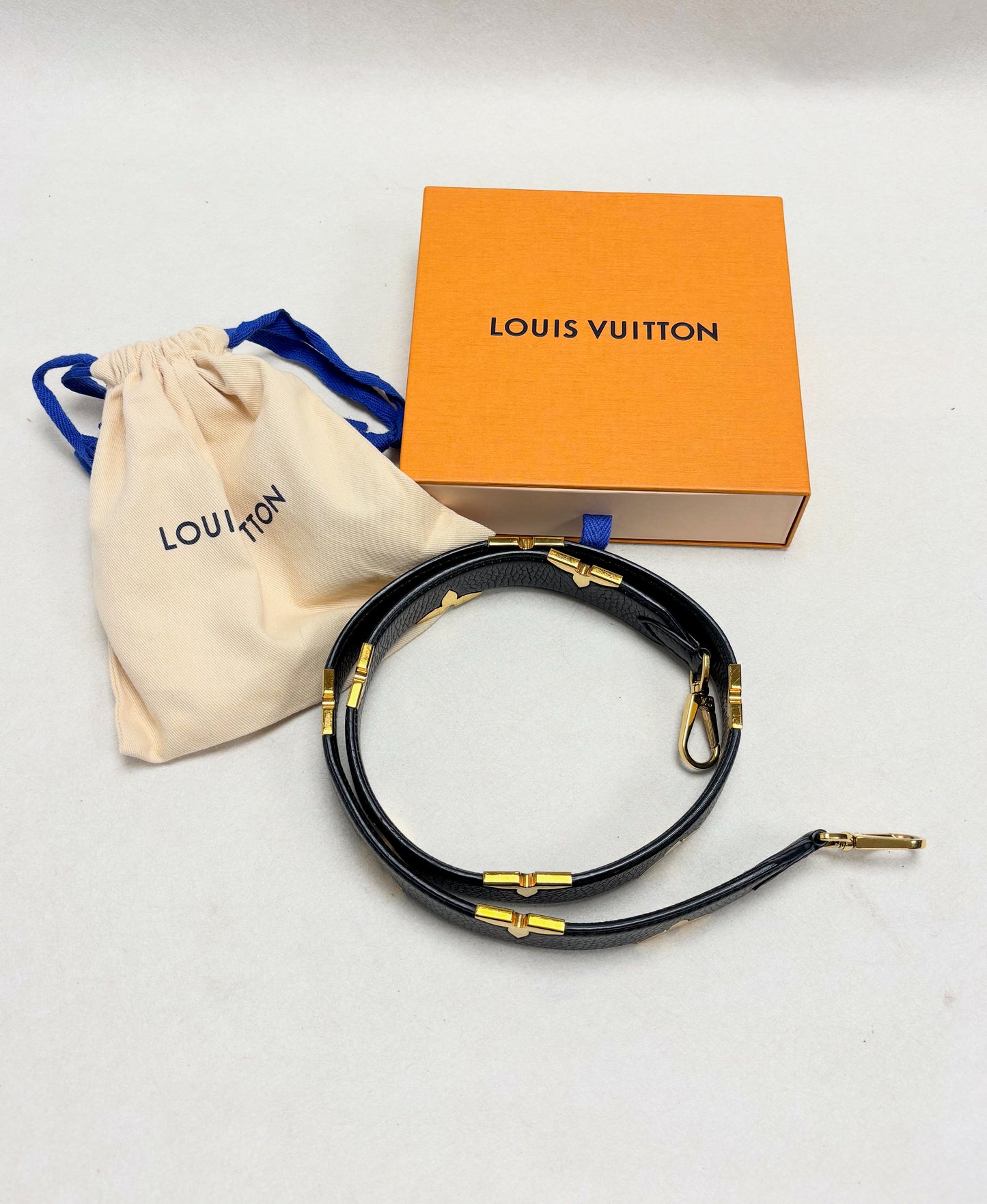 LOUIS VUITTON Bandoulière Iris