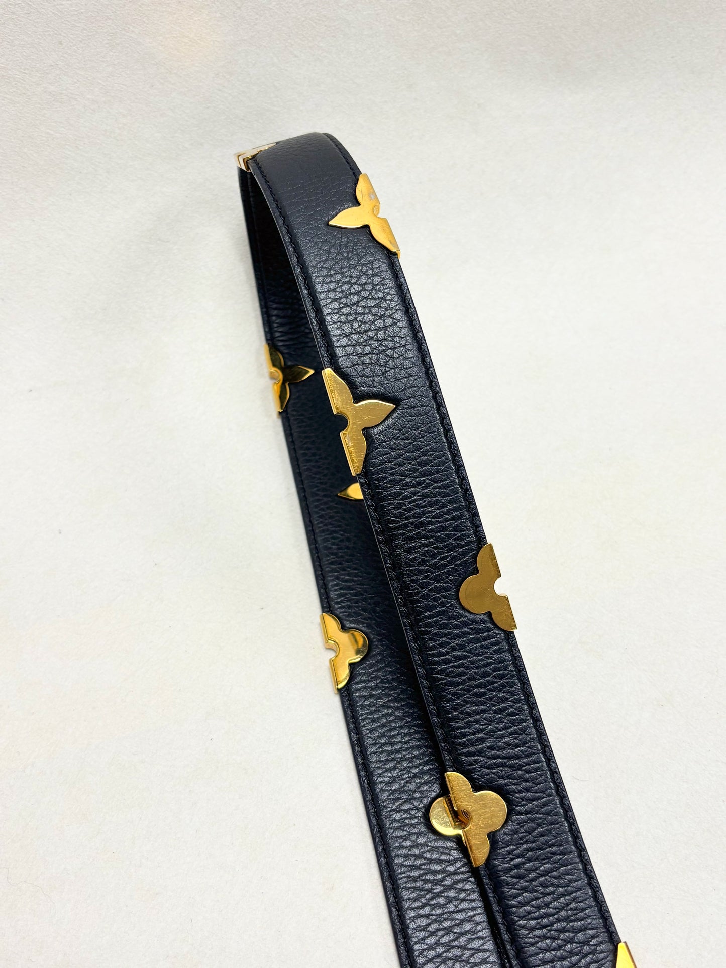 LOUIS VUITTON Bandoulière Iris
