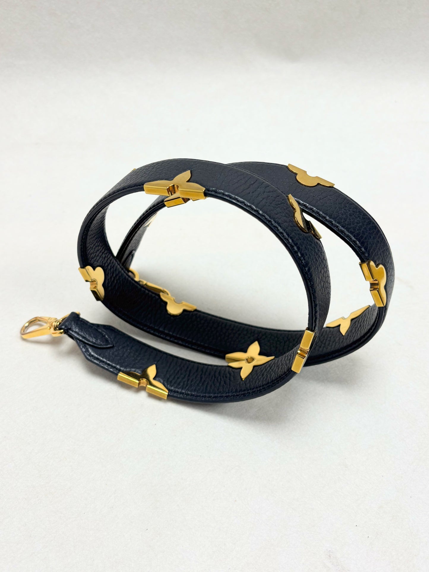 LOUIS VUITTON Bandoulière Iris