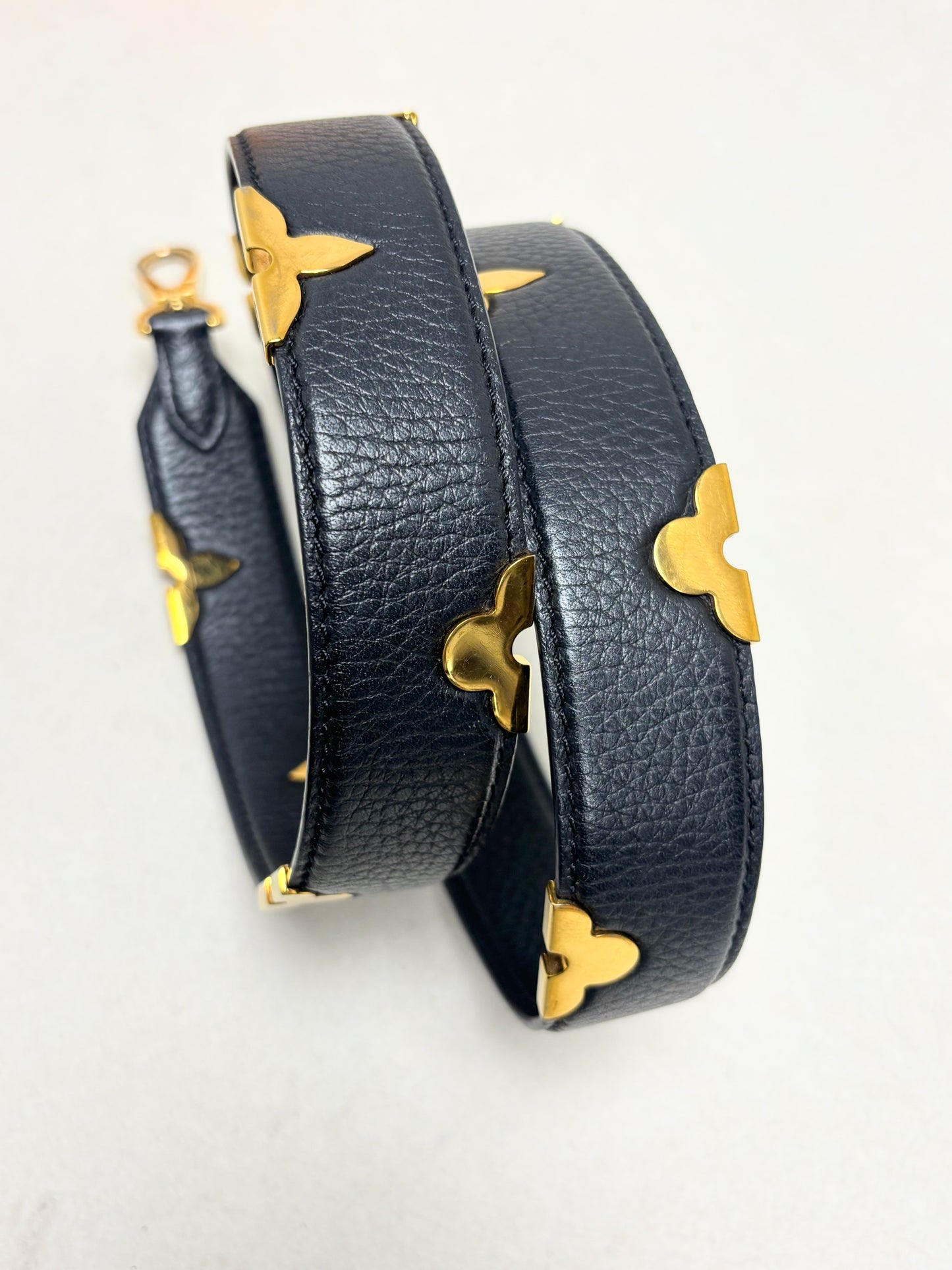 LOUIS VUITTON Bandoulière Iris