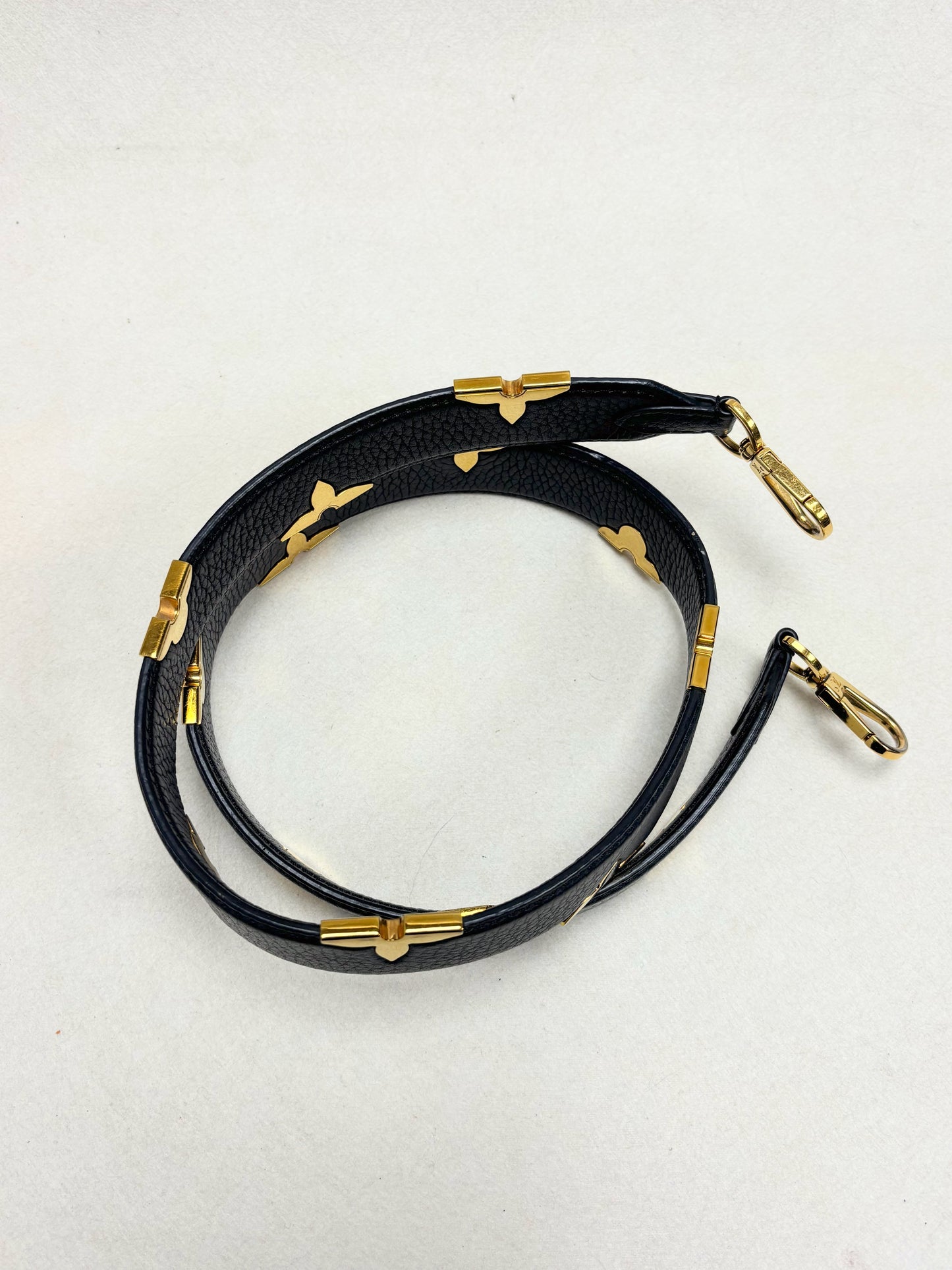 LOUIS VUITTON Bandoulière Iris