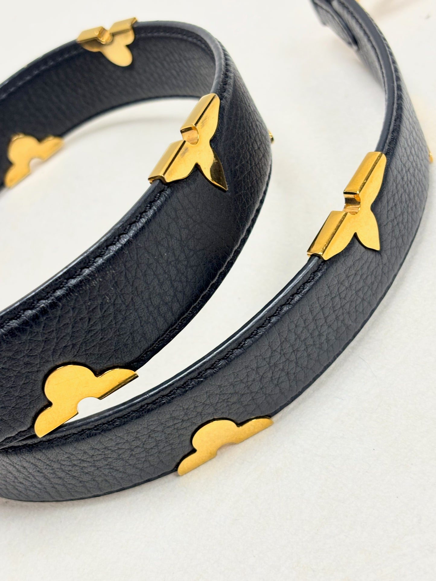 LOUIS VUITTON Bandoulière Iris
