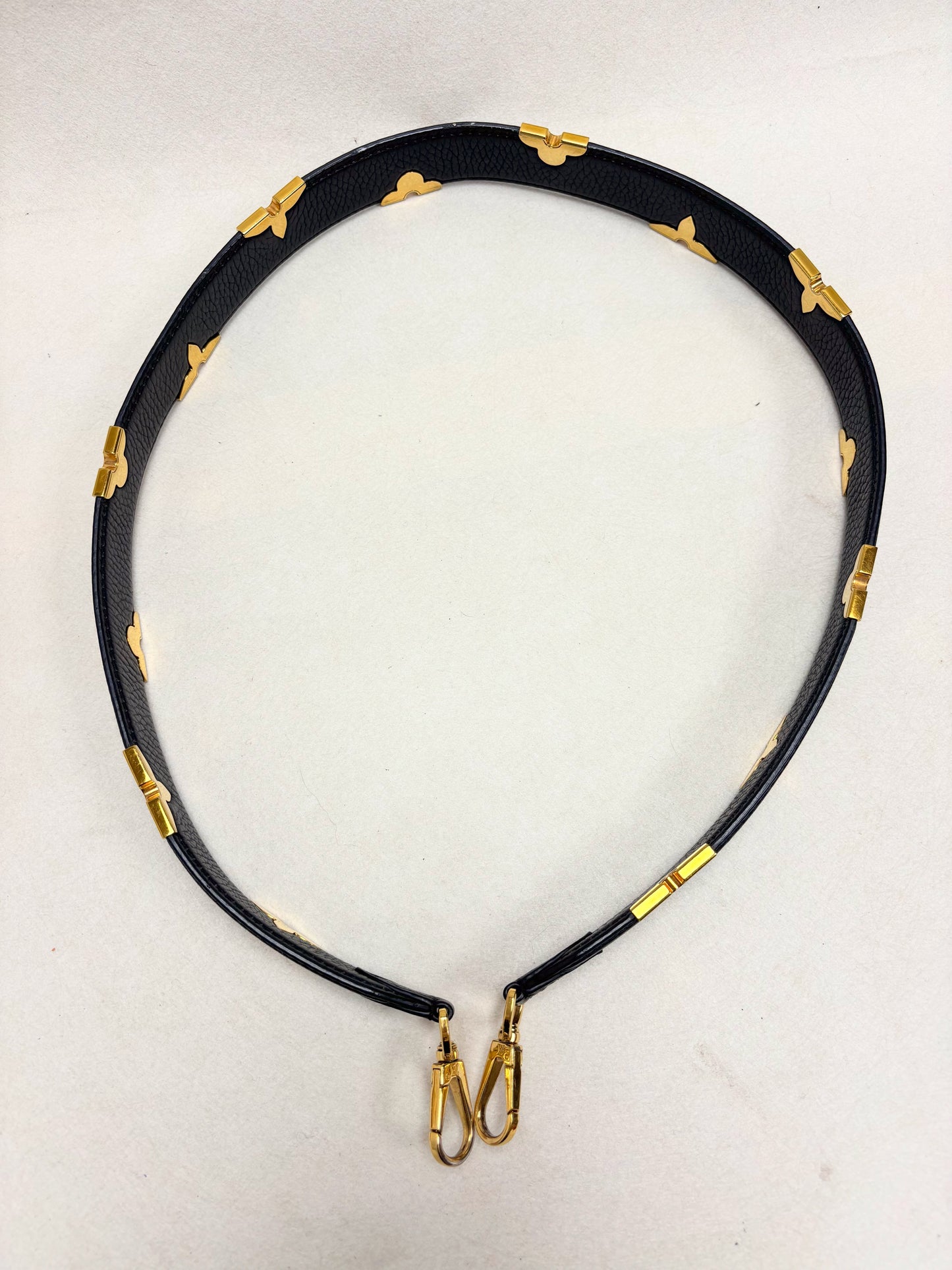 LOUIS VUITTON Bandoulière Iris