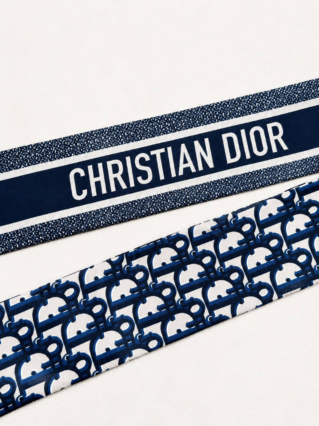 DIOR Mitzah Oblique en Soie