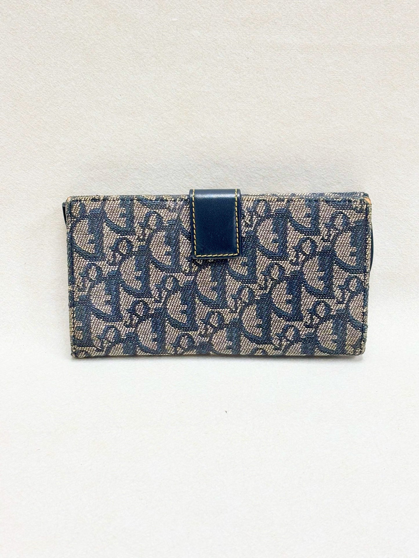 DIOR Portefeuille Saddle Oblique
