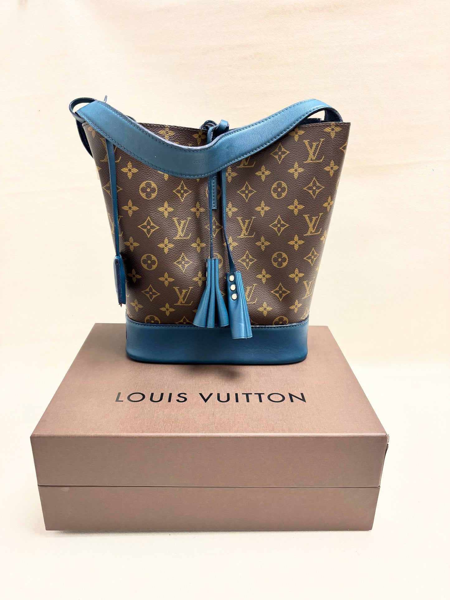 LOUIS VUITTON Sac Idole