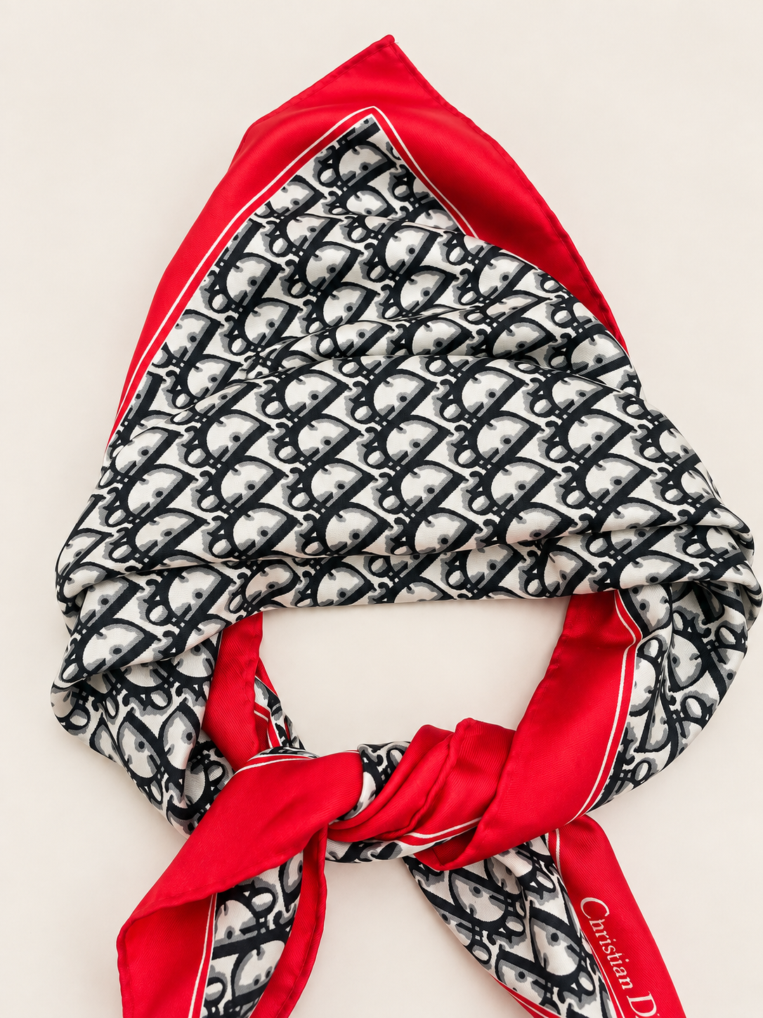 DIOR Foulard Carré Oblique en soie