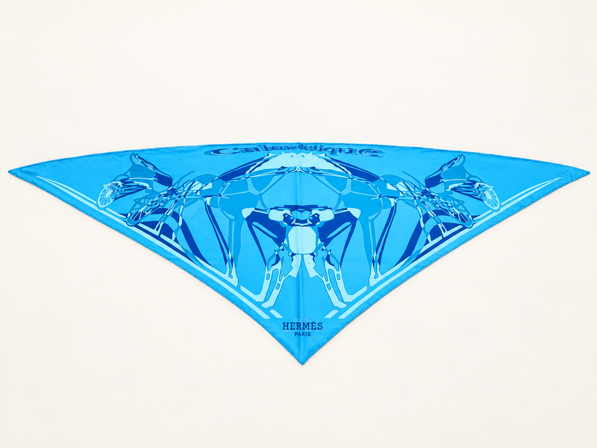 HERMÈS Foulard Pointu