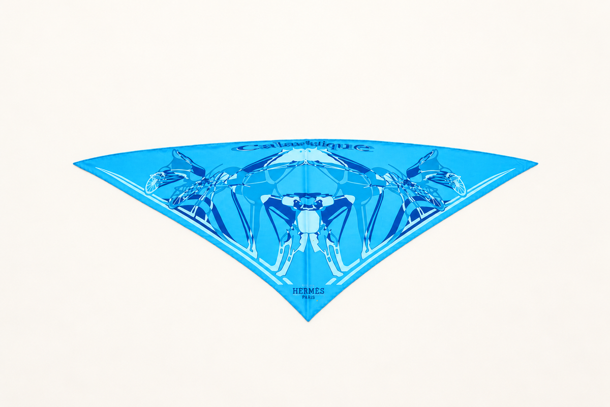 HERMÈS Foulard Pointu