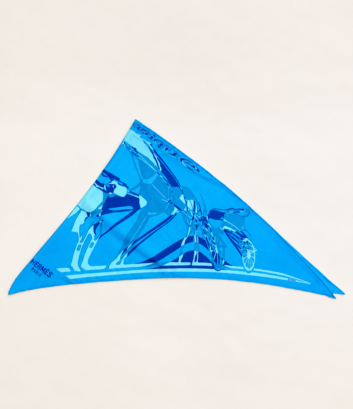 HERMÈS Foulard Pointu