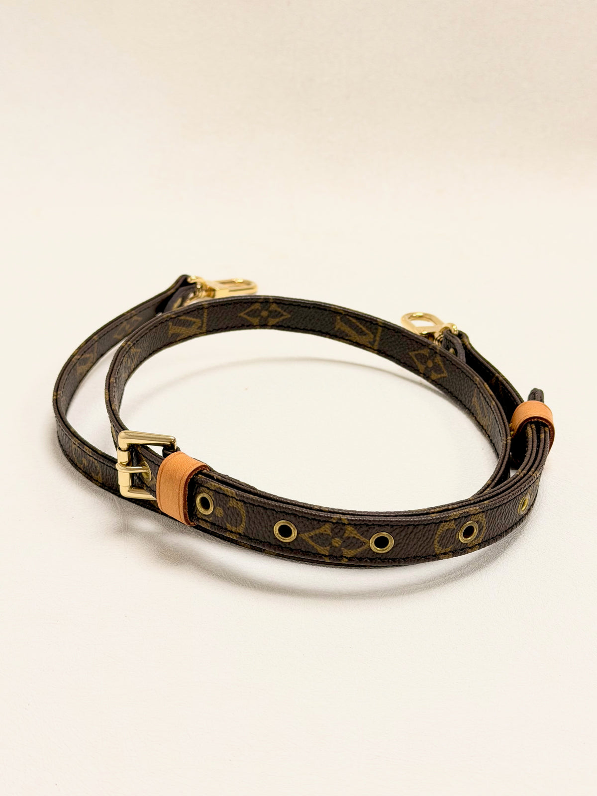 LOUIS VUITTON Bandoulière Monogramme