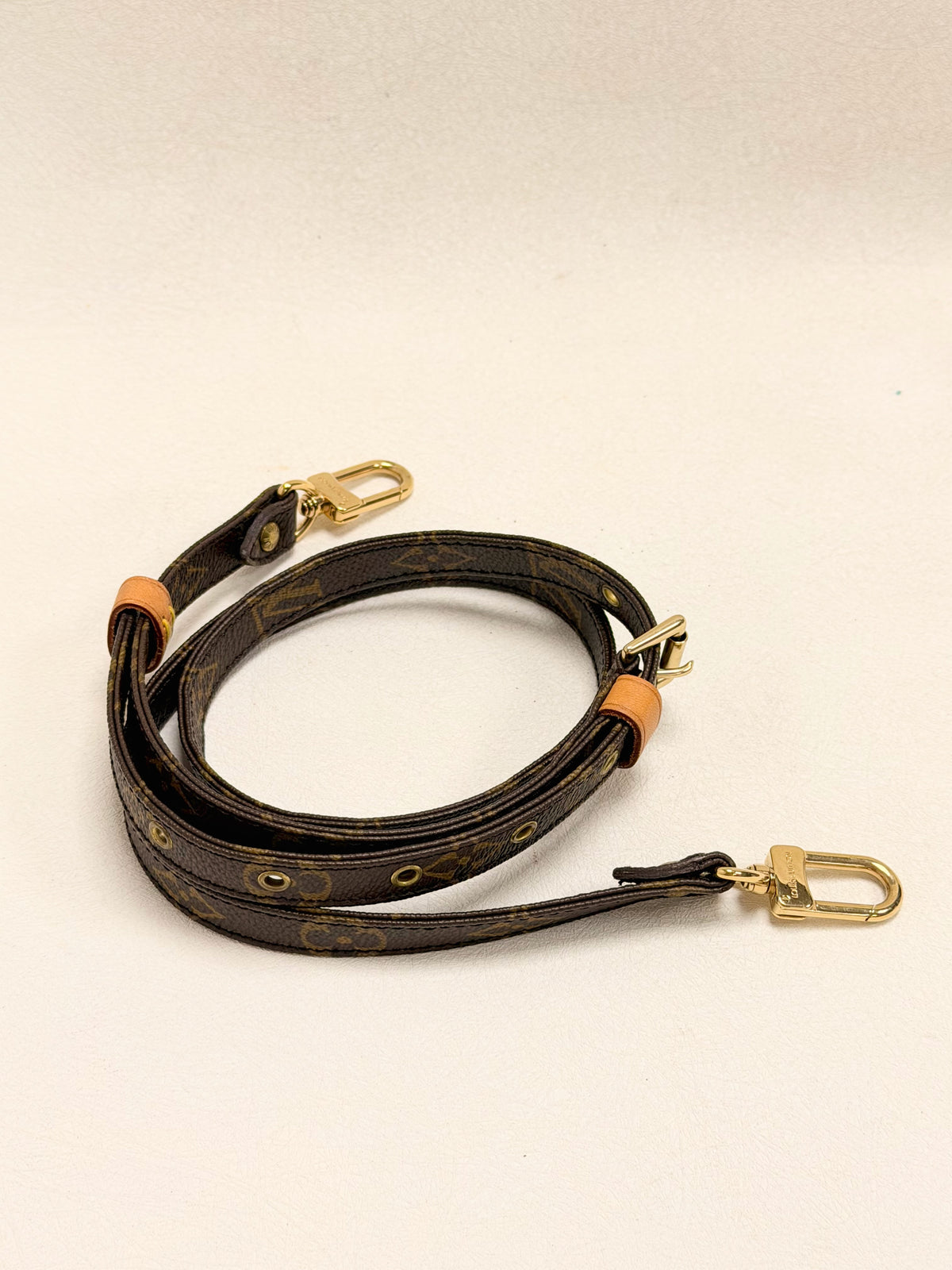 LOUIS VUITTON Bandoulière Monogramme