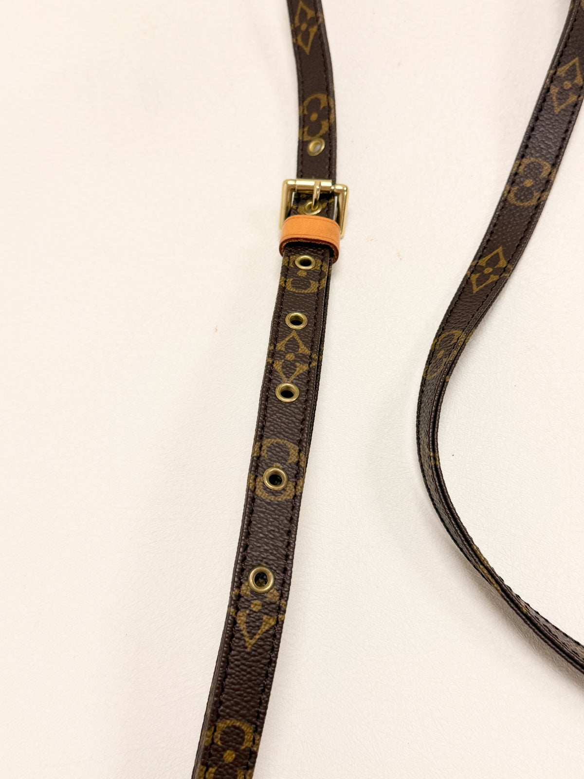 LOUIS VUITTON Bandoulière Monogramme
