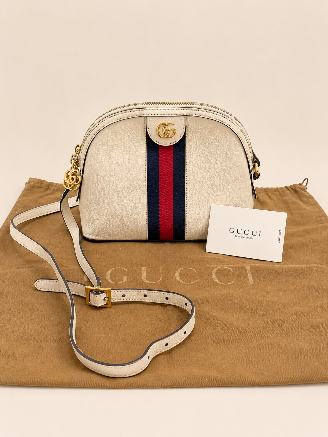 GUCCI Sac Ophidia