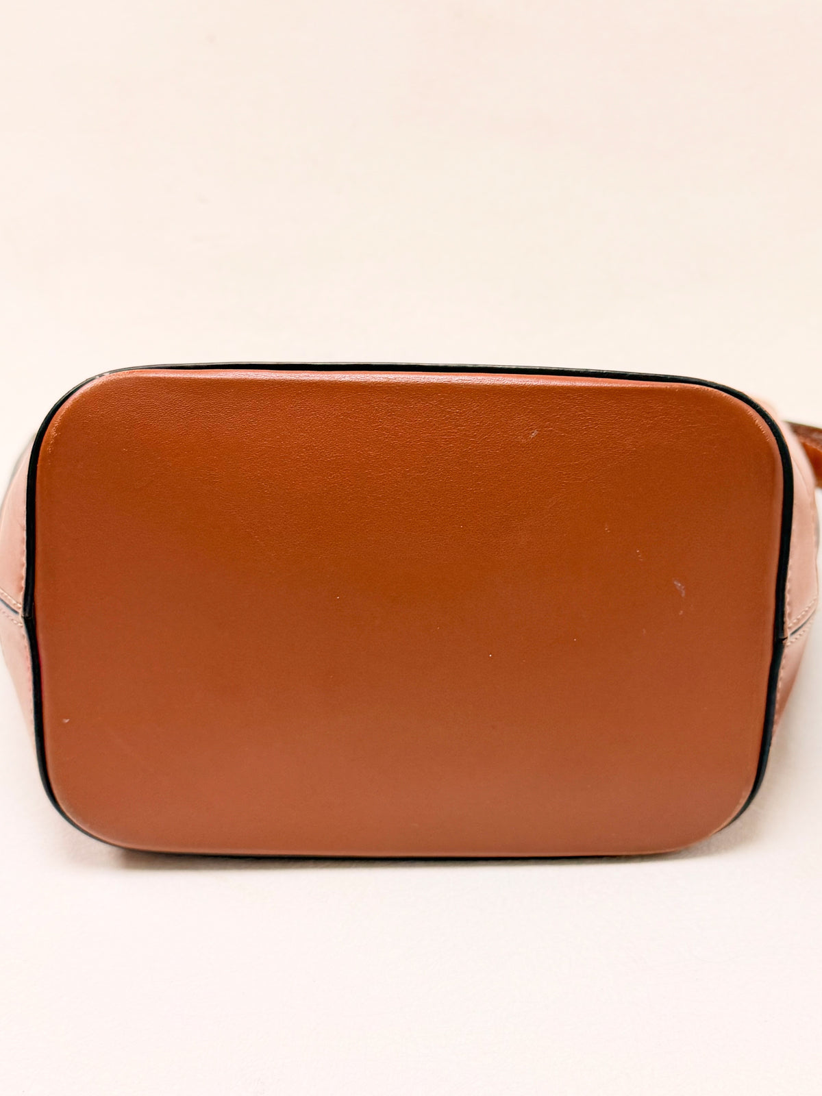 CÉLINE Sac Seau Triomphe