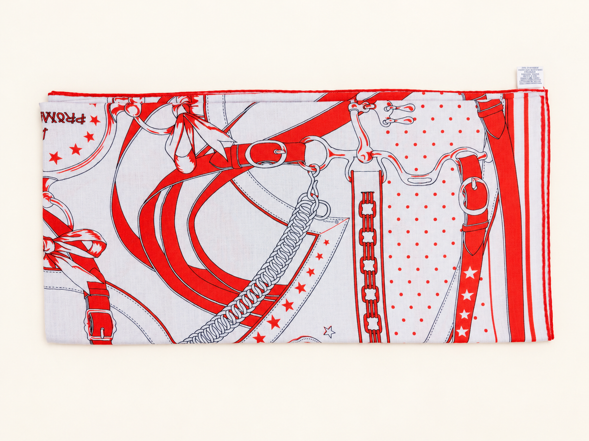 HERMÈS Foulard La Promenade du Matin Bandana