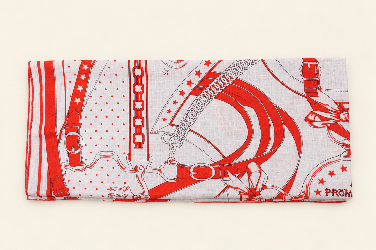 HERMÈS Foulard La Promenade du Matin Bandana