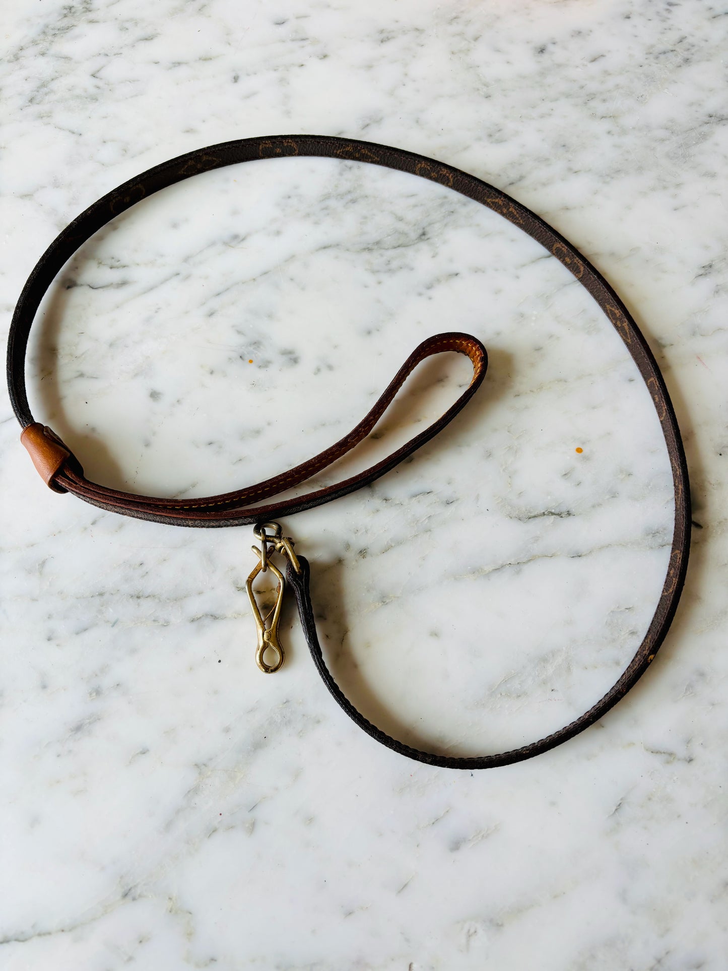 LOUIS VUITTON Laisse Baxter